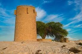Al Khor IDN Domains | W3 Domains
