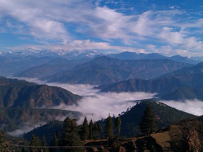 Dhanaura Cloud Email | W3 Domains