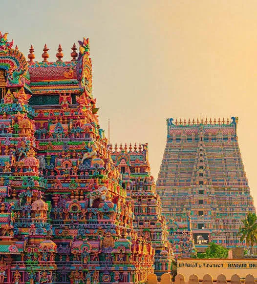 Madurai Shared Hosting | W3 Domains