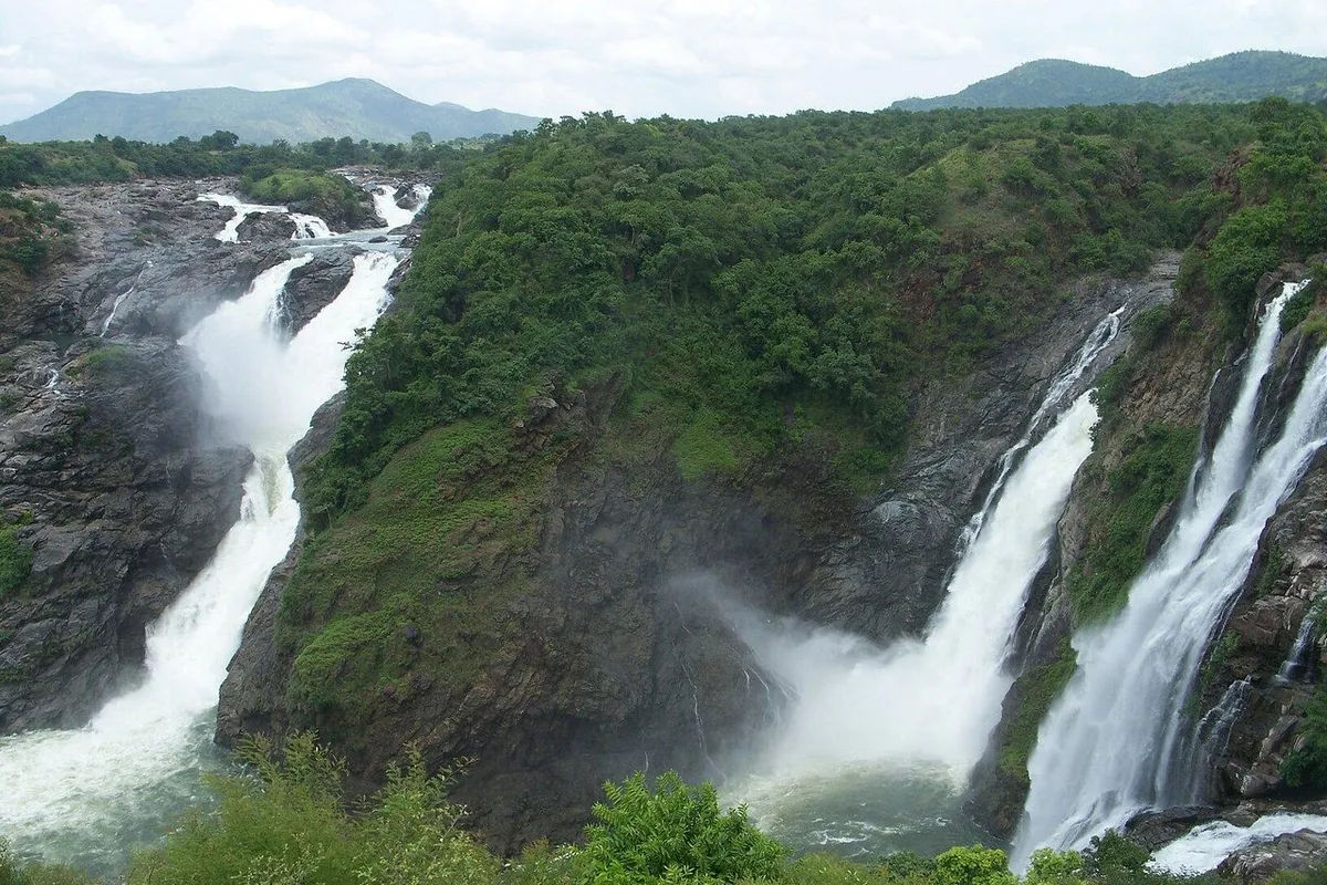 Mandya Shared Hosting | W3 Domains