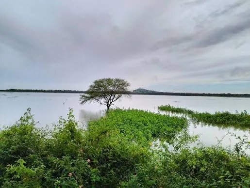 Nanjangud Shared Hosting | W3 Domains