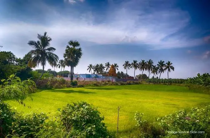 Tirunelveli Cloud Email | W3 Domains