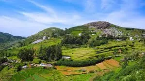 Udhagamandalam (Ooty) Shared Hosting | W3 Domains