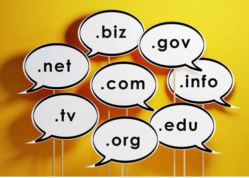 Domain Registration in Vellore